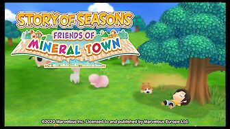 Story of Seasons: Friends of Mineral Town Test