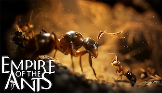 Empire of the Ants (PC, PS5, Xbox Series)